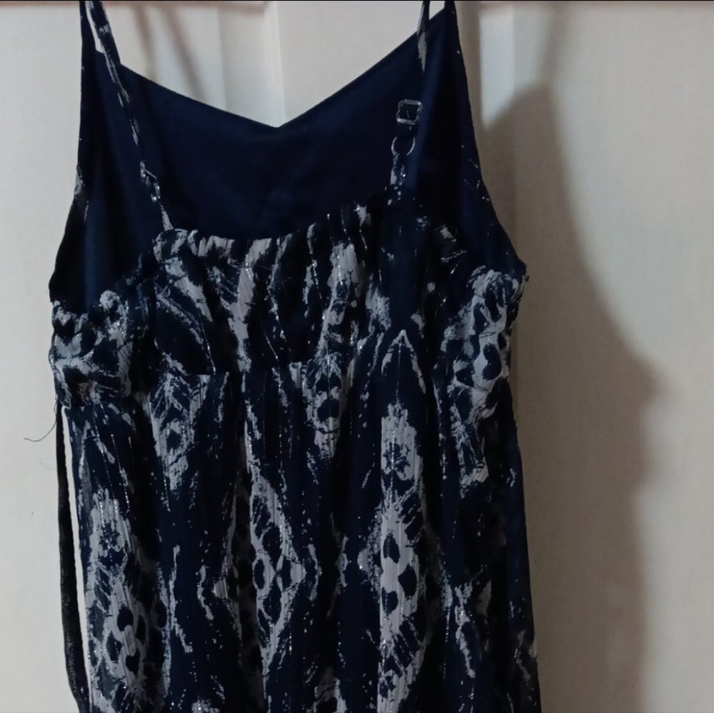 Blue Ana silver dress